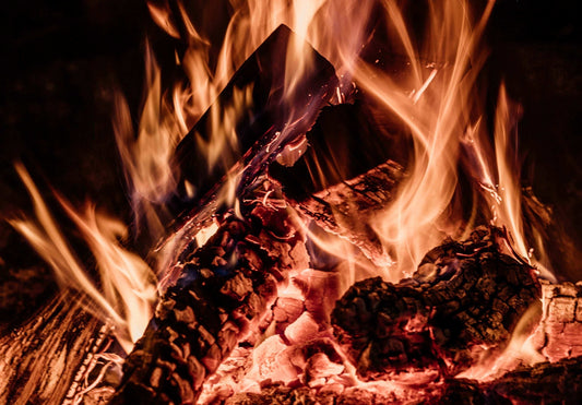 Benefits of Mopane Firewood