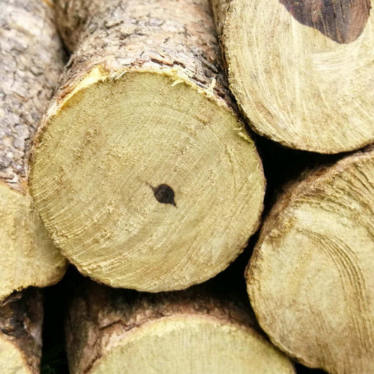 Rooibos South African Hardwood Bags (Premium) | 5x 18KG or more