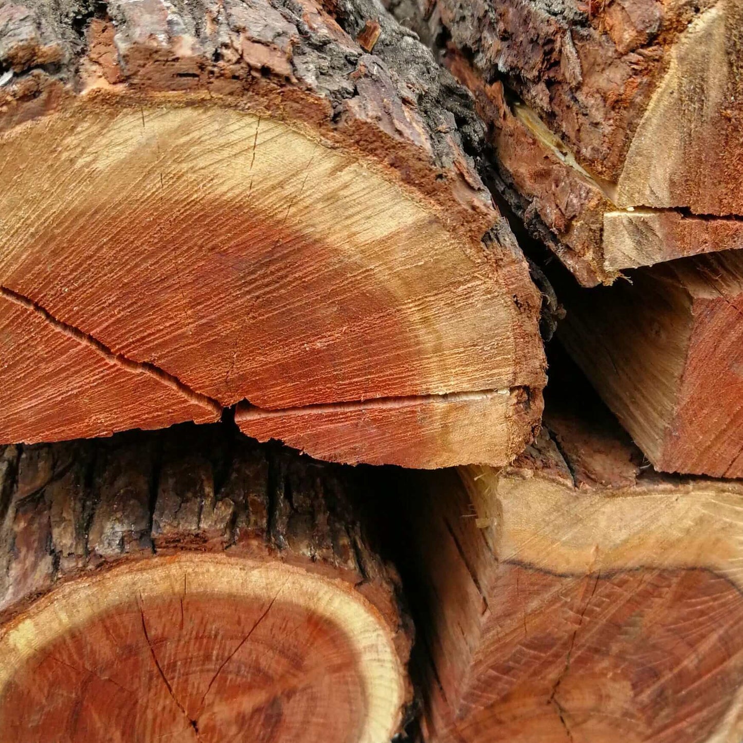 Soetdoring South African Hardwood Bags (Sweet Thorn) | 5x 18KG or more
