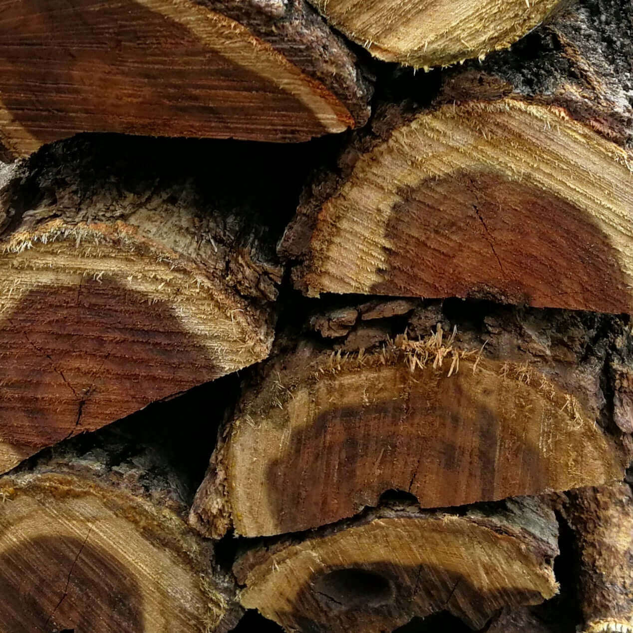 Swarthaak South African Hardwood Bags (Black Thorn) | 5x 18KG or more