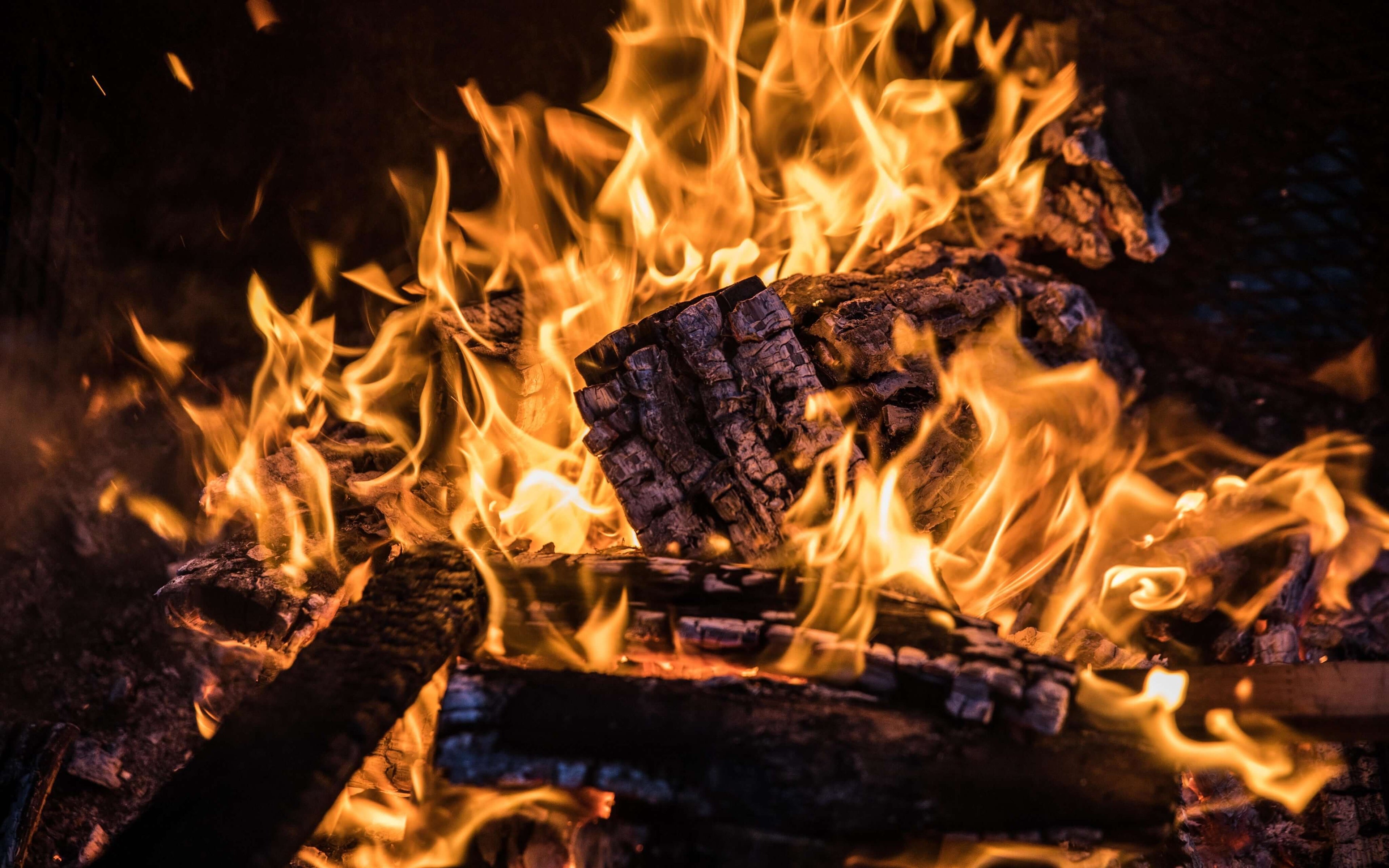 braai wood cape town delivery