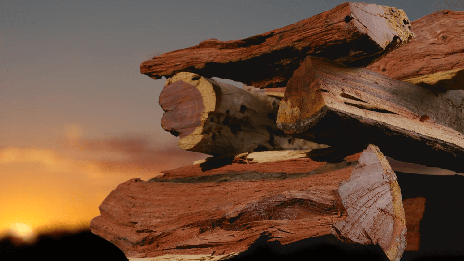namibian hardwood