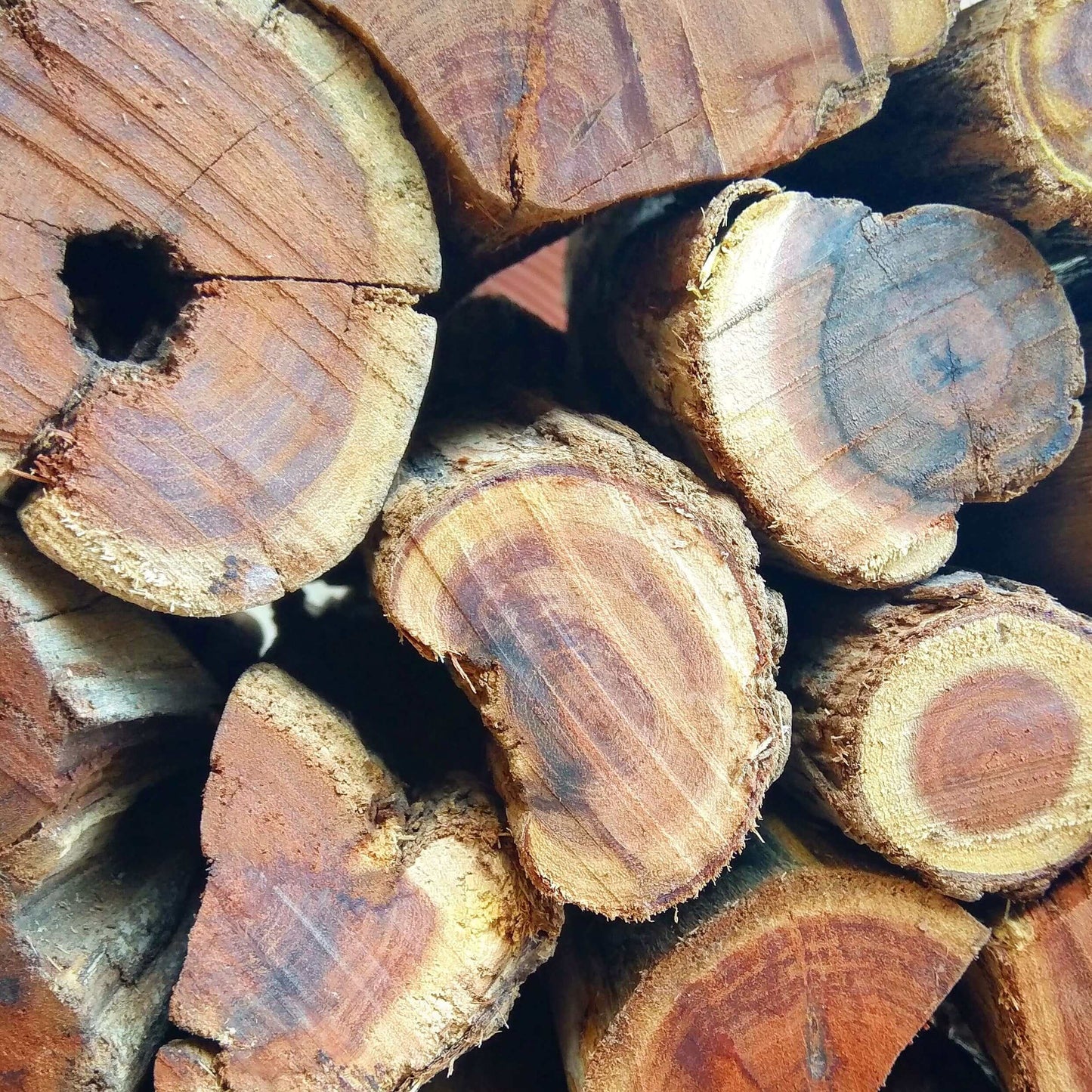 Sekelbos Namibian Hardwood 2000KG Bulk (Sicklebush) | 2 Ton - Cape Town Firewood