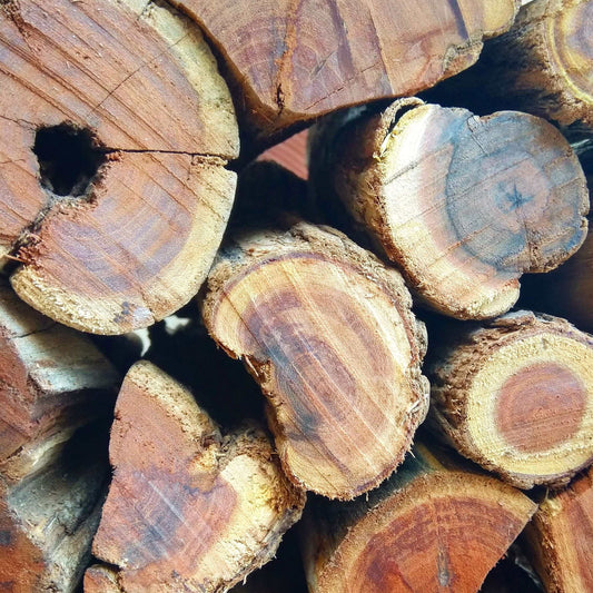 Sekelbos Namibian Hardwood 2000KG Bulk (Sicklebush) | 2 Ton - Cape Town Firewood