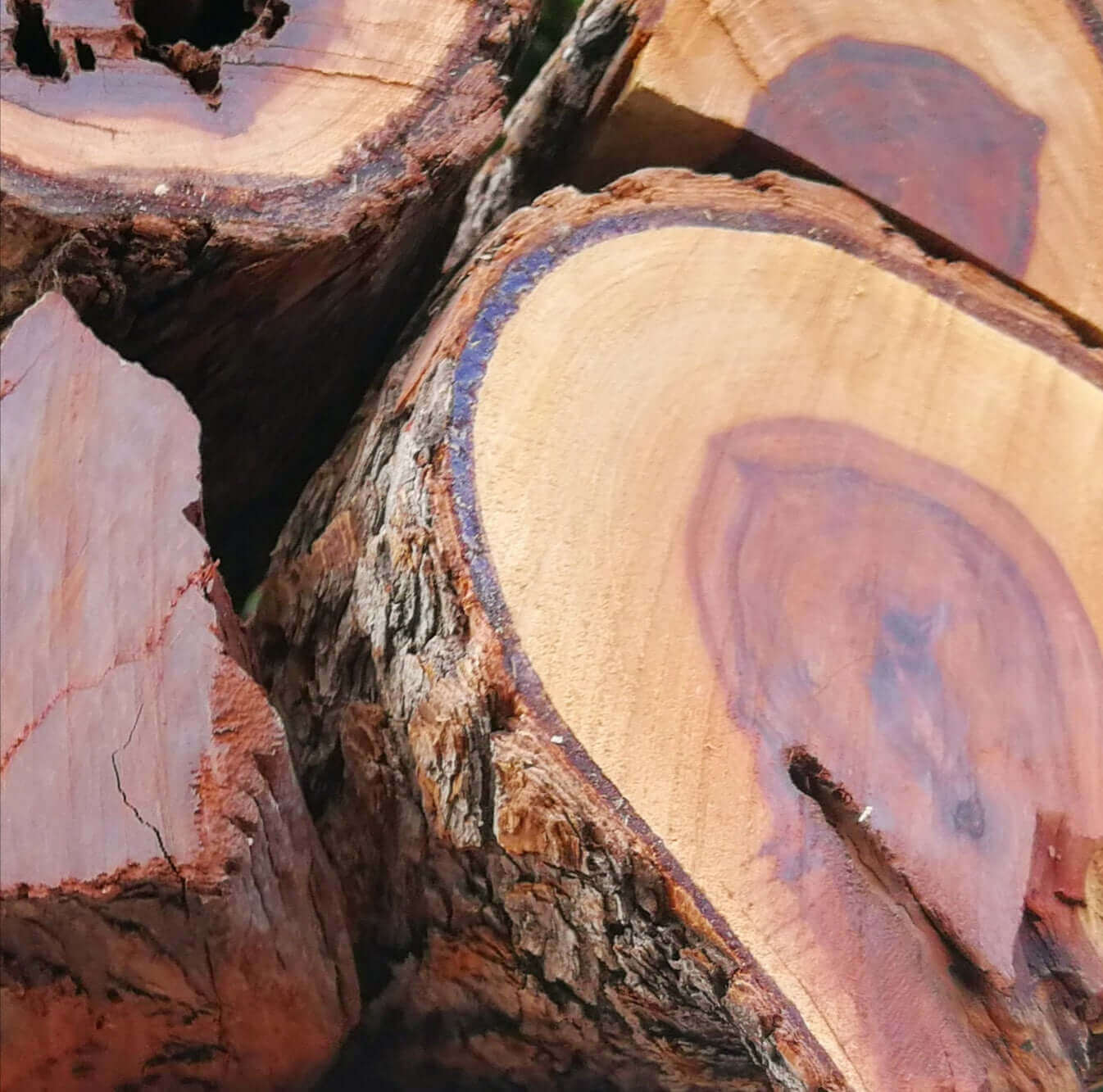 Mopane Namibian Hardwood 1500KG Bulk (Mopanie) | 1.5 Ton - Cape Town Firewood