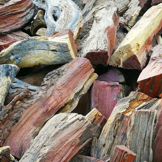 Kameeldoring wood (Camel Thorn) - Cape Town