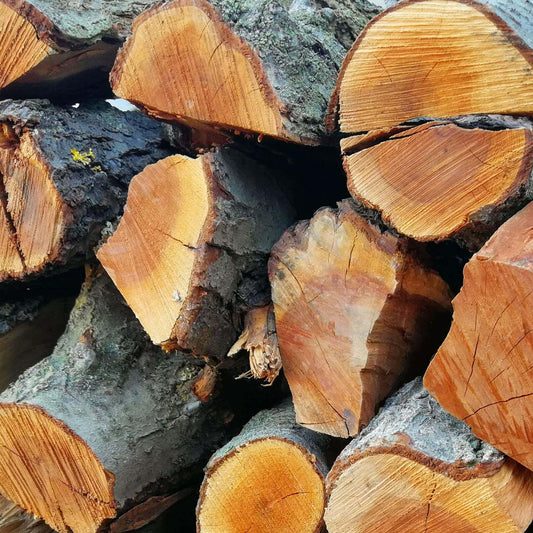 Plum Braai Wood Bags (Exotic) | 5x 22pc or more | Large - Cape Town Firewood