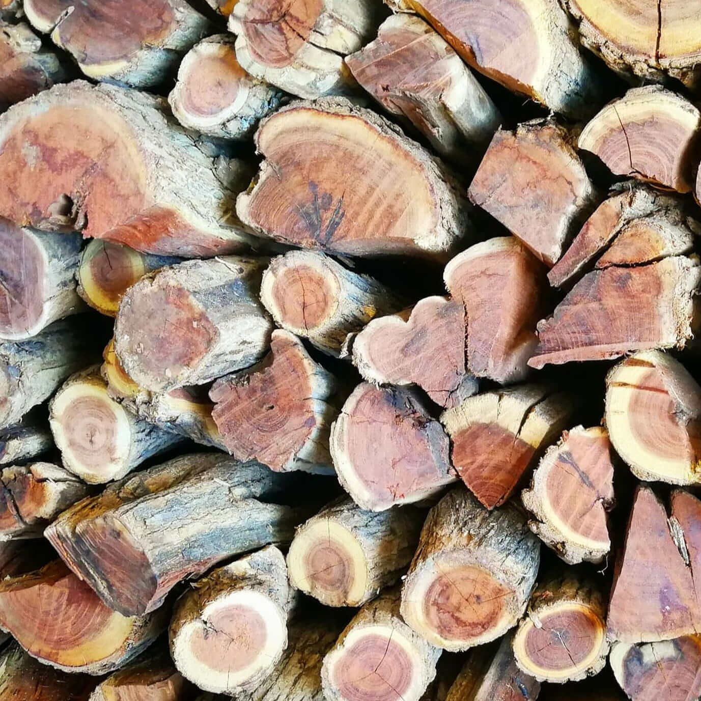 Sekelbos Namibian Hardwood 750KG Bulk (Sicklebush) Three Quarter Ton - Cape Town Firewood