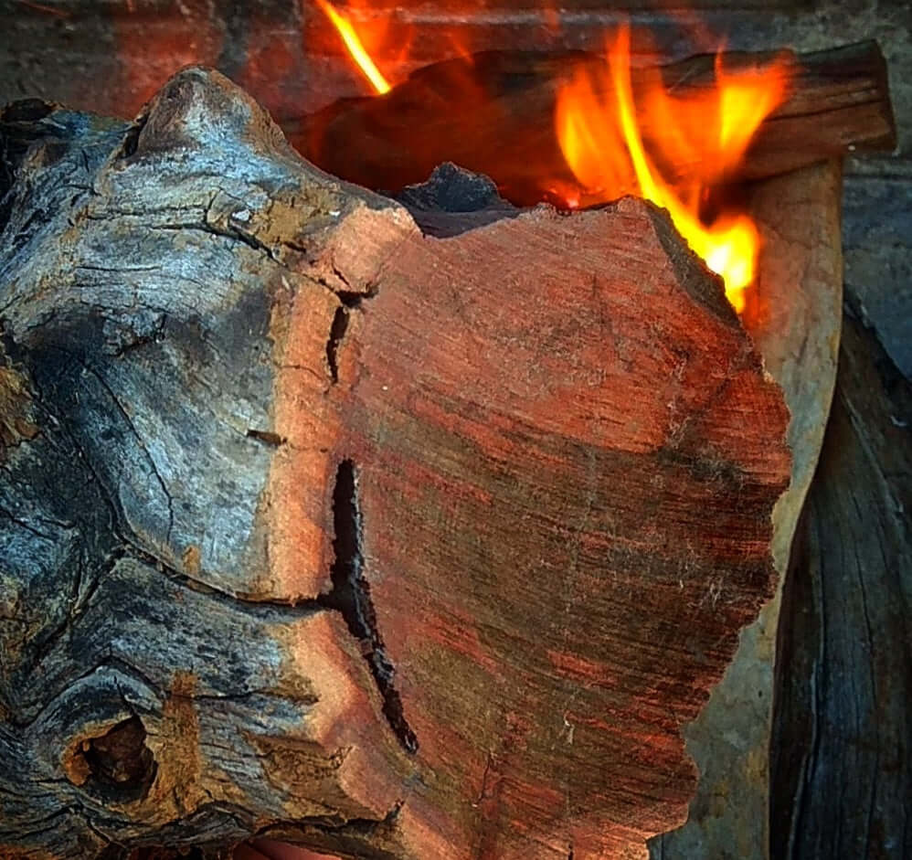 Tips for Choosing the Best Mopane Firewood Supplier