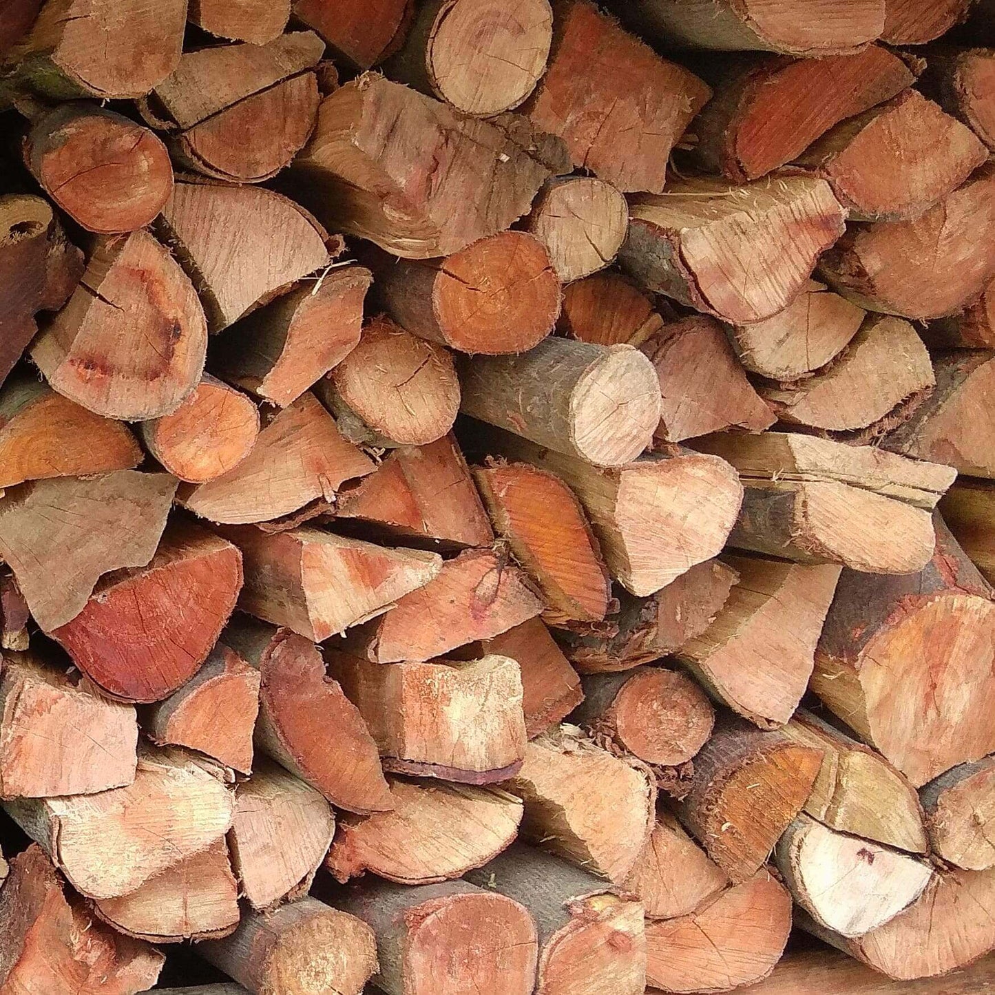 Black Wattle wood Bulk - Firewood Cape Town