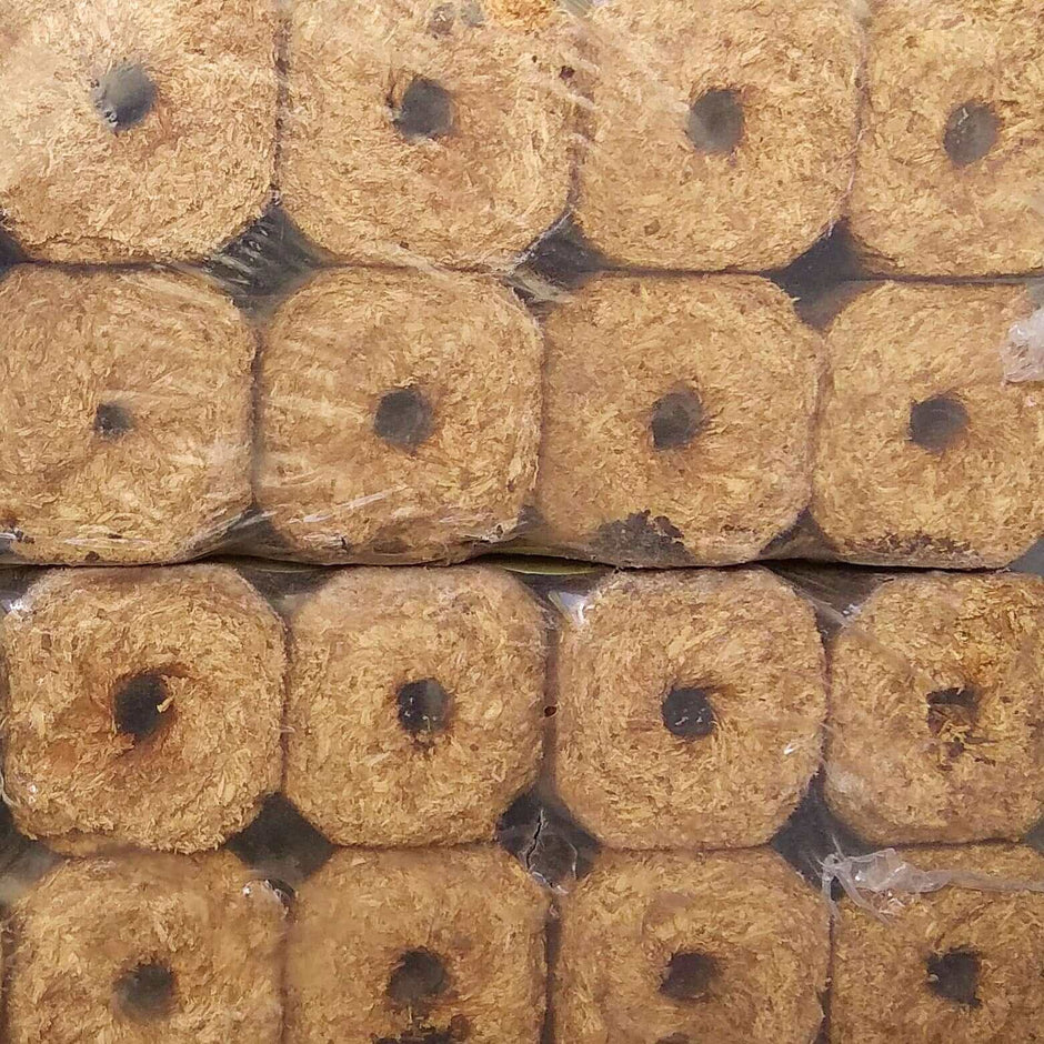 Firewood / Kaggel Hout (Fireplace woods) Cape Town