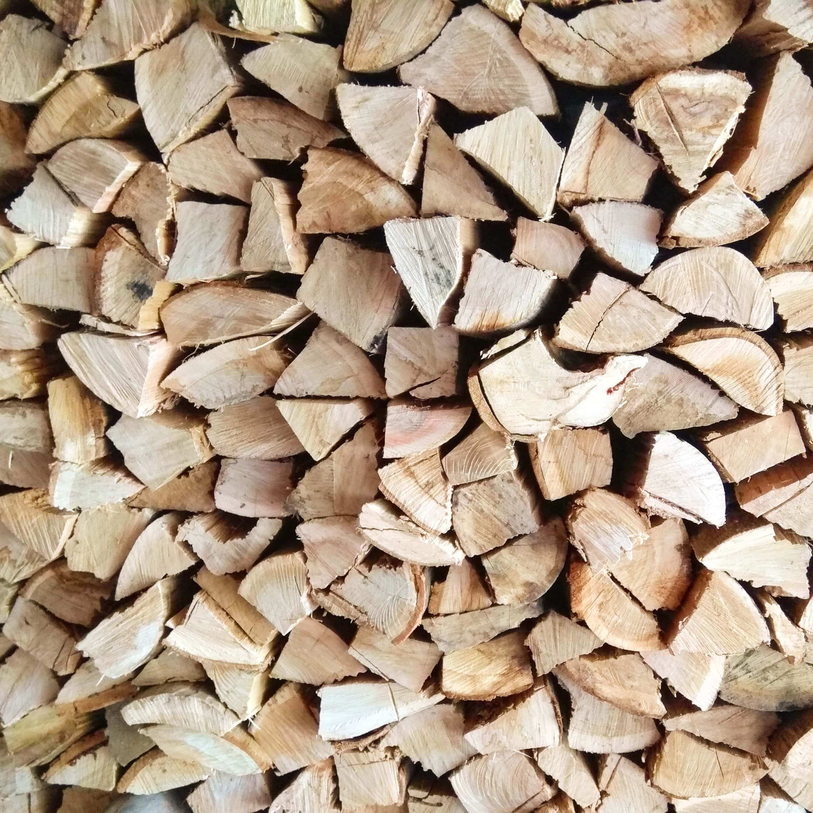 Blue Gum wood - Cape Town Firewood