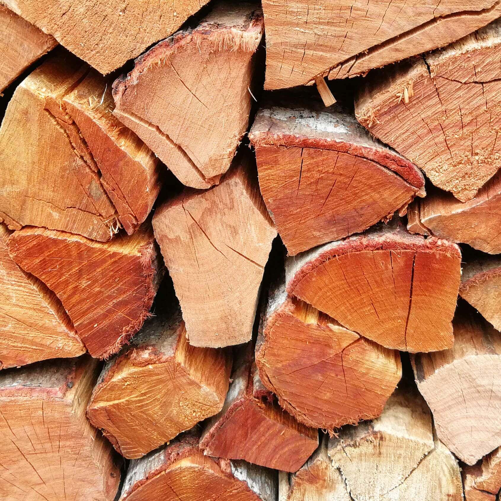 Black Wattle wood Bulk - Cape Town