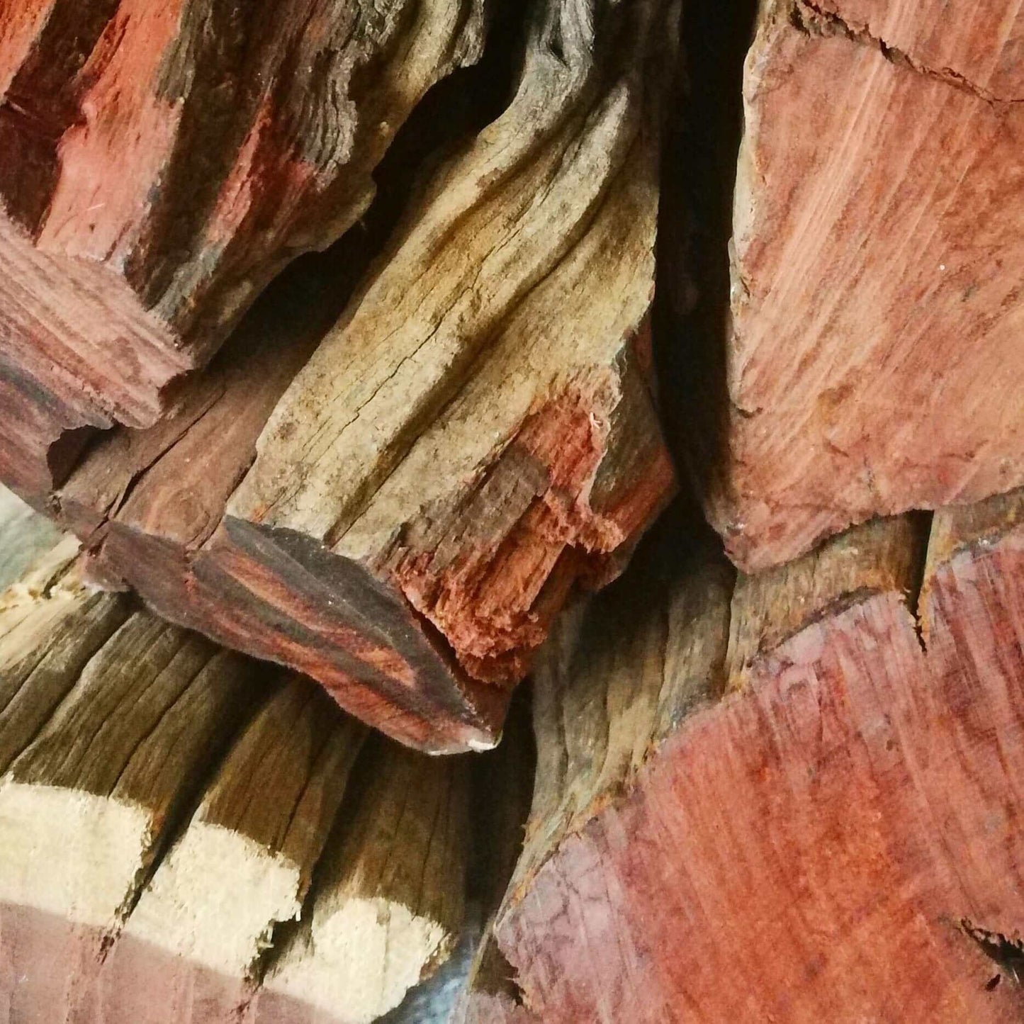 Kameeldoring Firewood (Kameeldoring Hout) - Cape Town