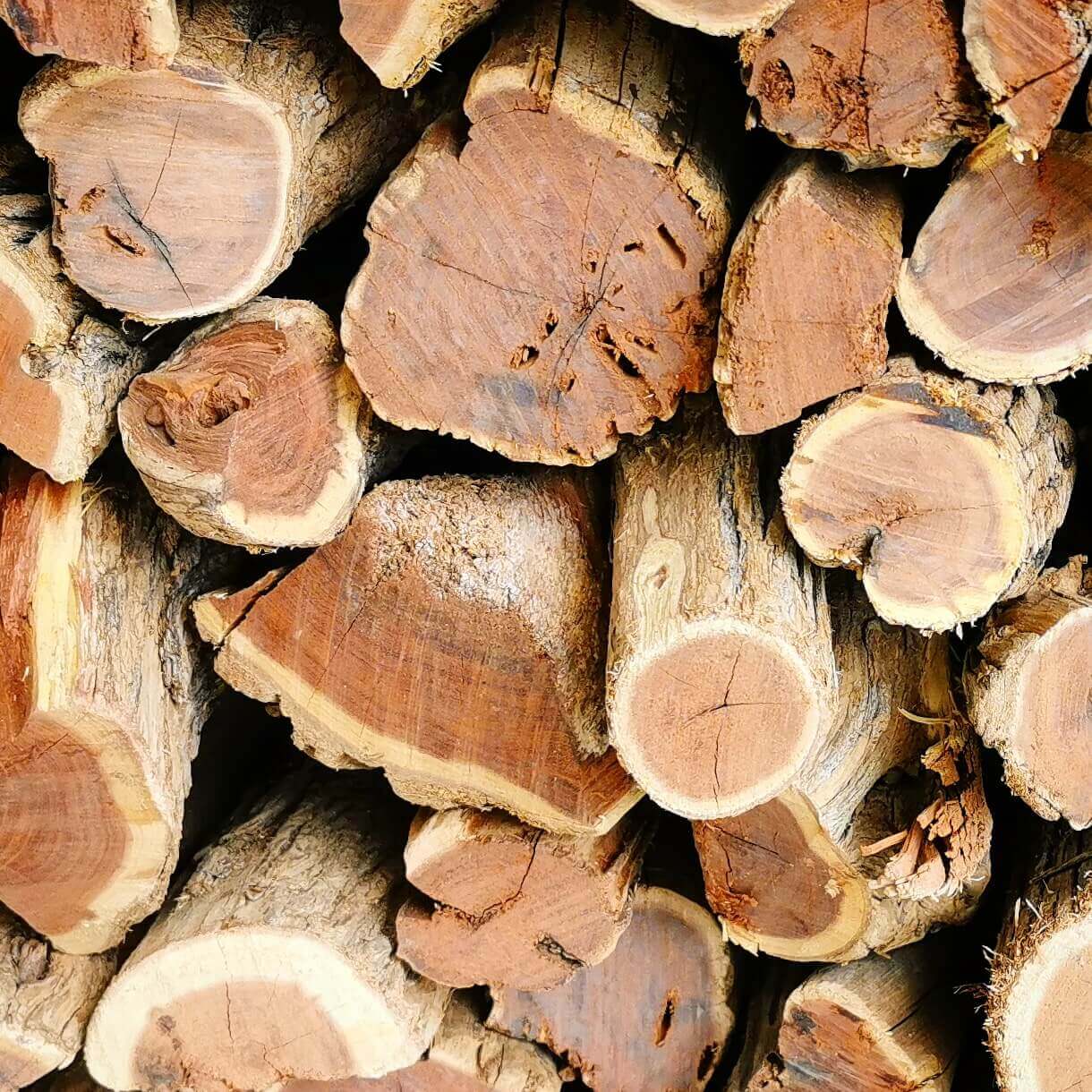 Sekelbos Namibian Hardwood 1500KG Bulk (Sicklebush) | 1.5 Ton - Cape Town Firewood