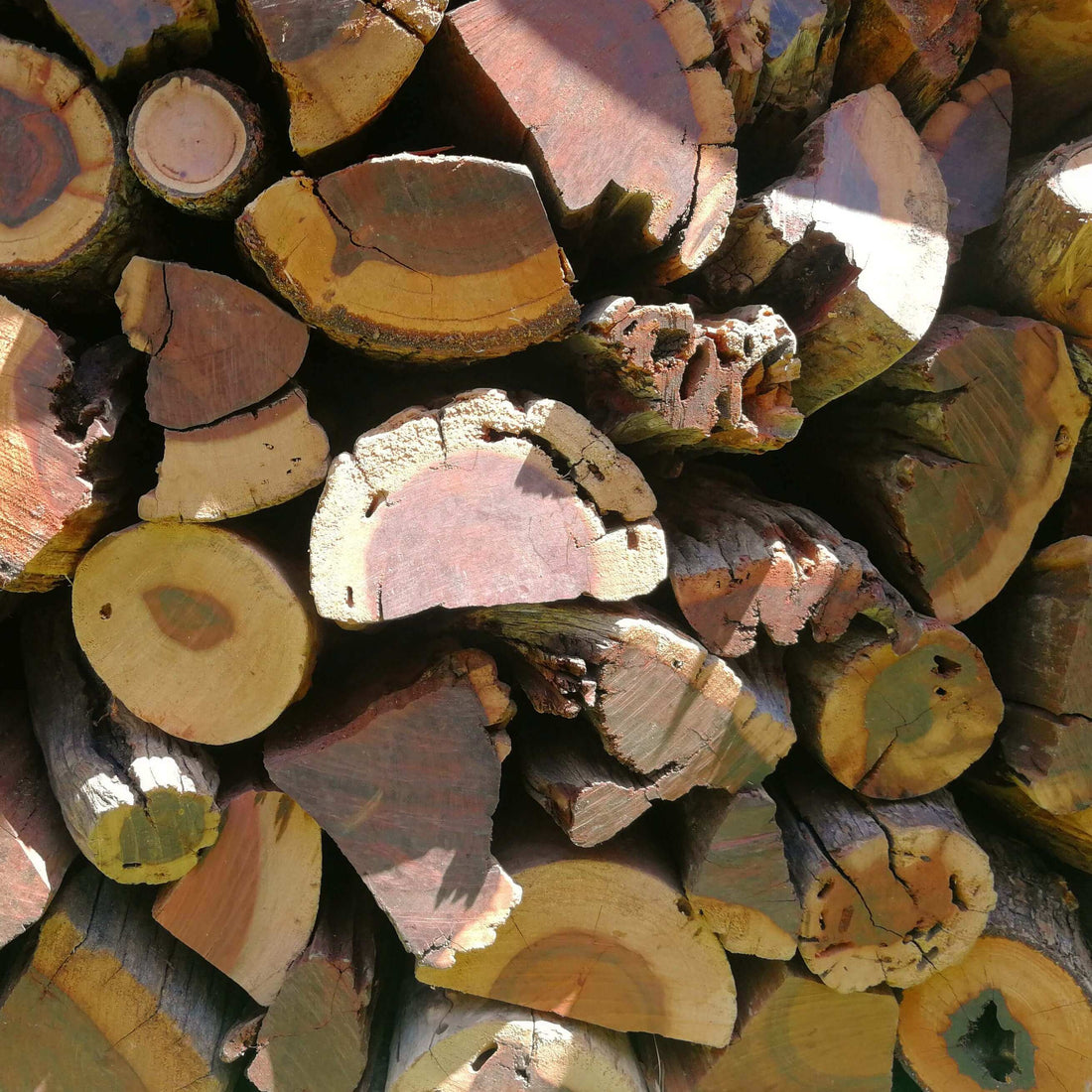 Mopane Namibian Hardwood 2000KG Bulk (Mopanie) | 2 Ton