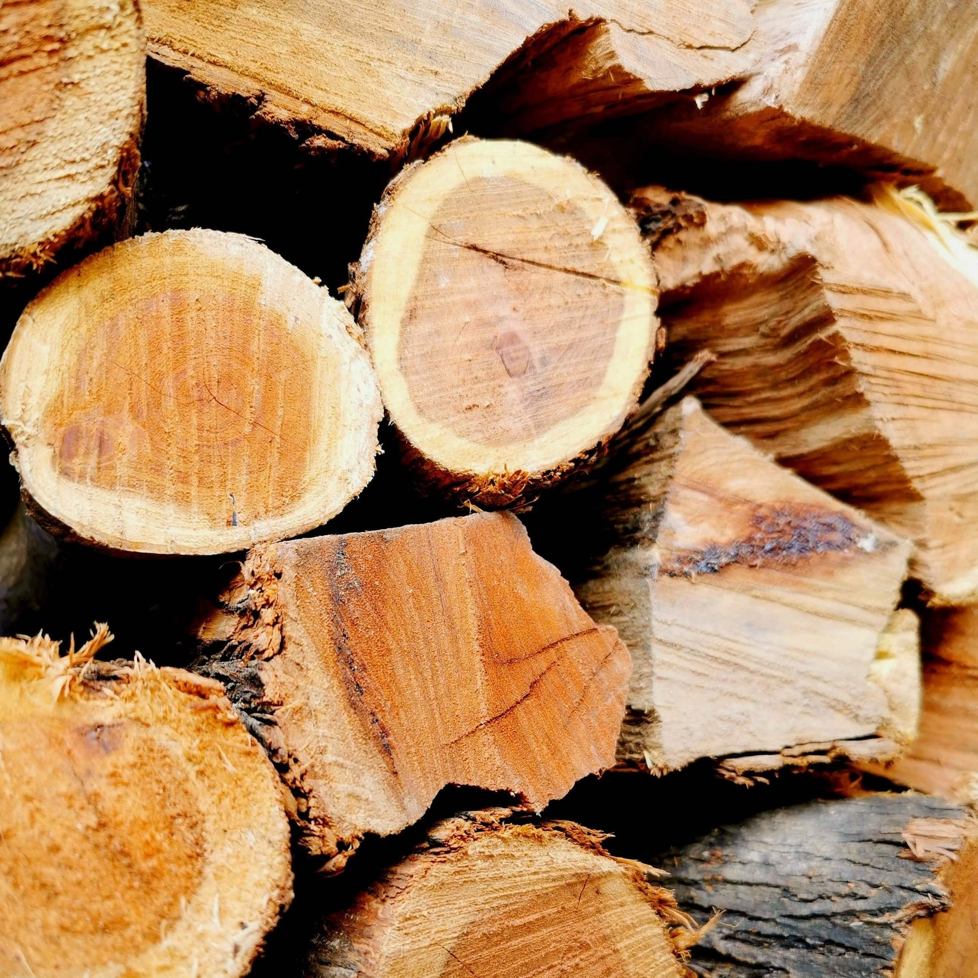 Mesquite Braai wood (Prosopis/Doringhout) - Cape Town Firewood