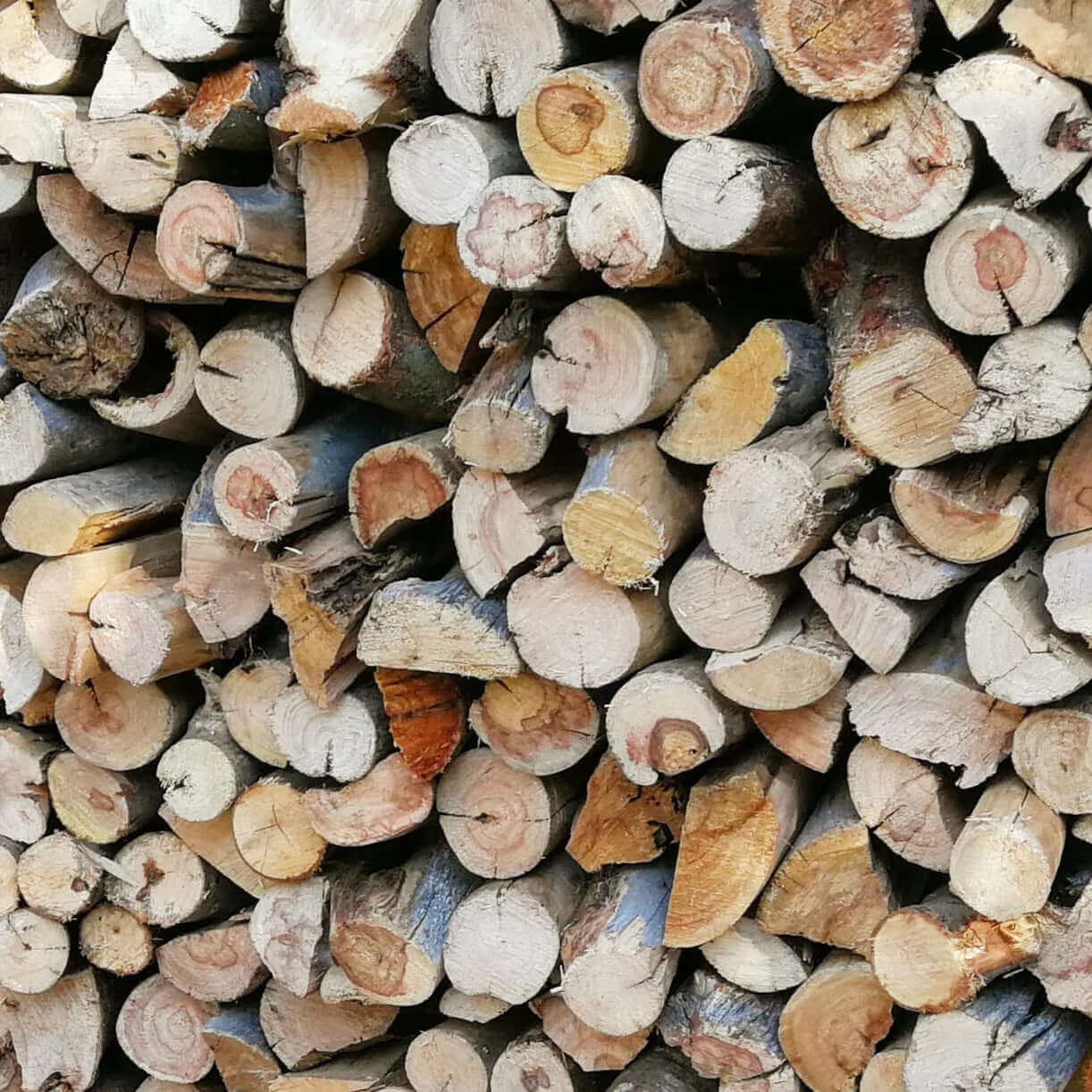 Port Jackson Firewood Bulk (Local) 1000 Loose Pieces