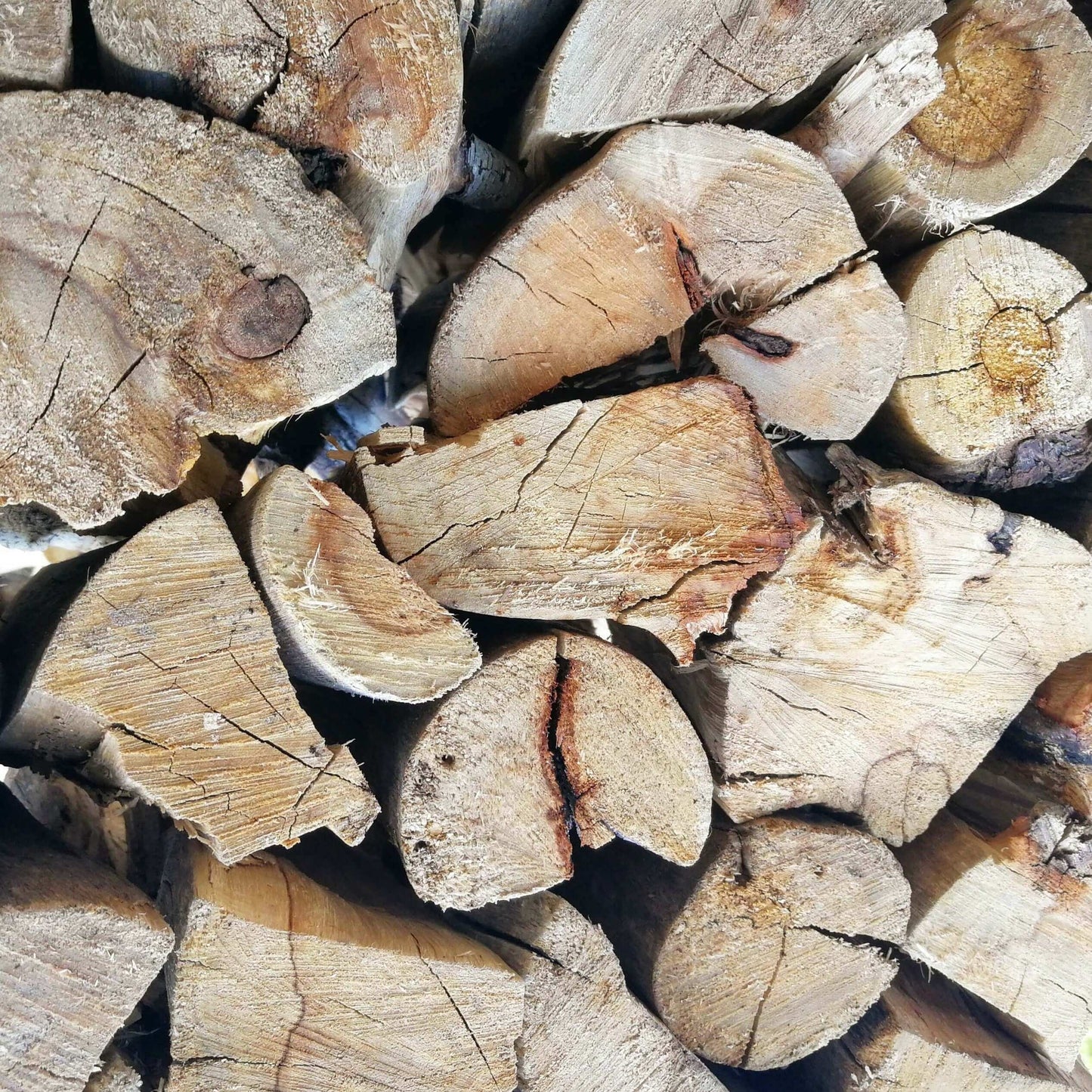 Port Jackson Firewood Bulk (Local) | 500 Loose Pieces - Cape Town Firewood