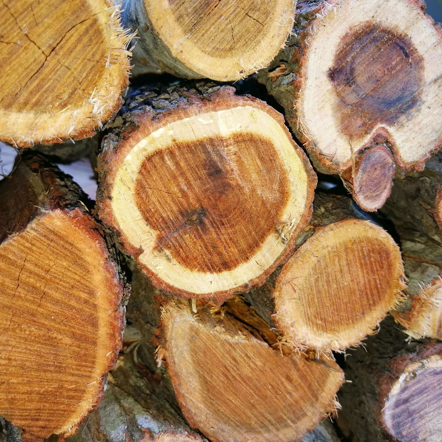 Rooikrans Braai Wood Bulk (Local)  250 Loose Pieces - Cape Town Firewood