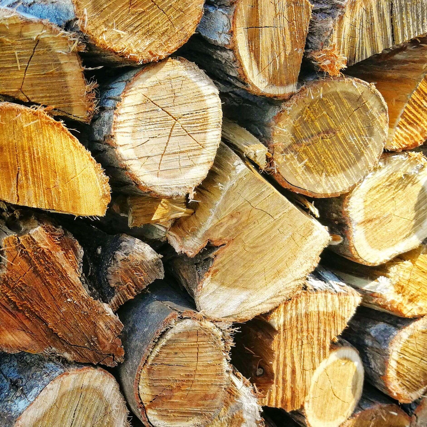 Rooikrans Braai Wood Bulk (Local) | 750 Loose Pieces - Cape Town Firewood