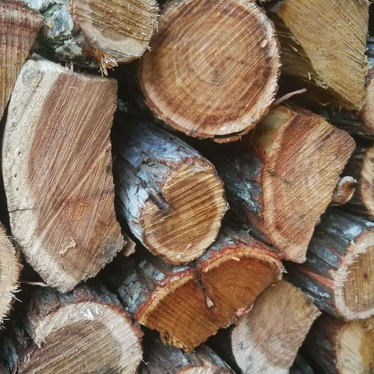 Rooikrans Braai Wood Bulk Load of 500 Loose Pieces in Cape Town