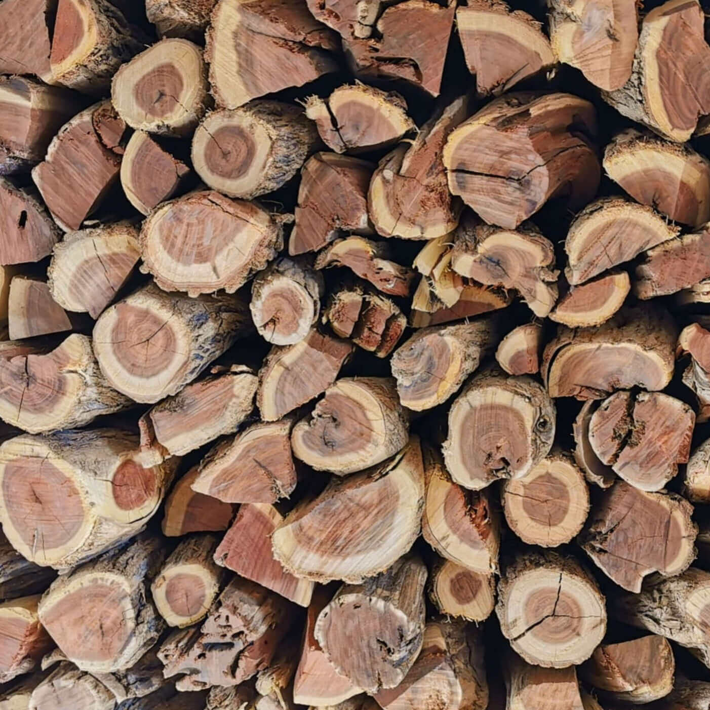 Sekelbos Namibian Hardwood 1000KG Bulk (Sicklebush)  1 Ton - Cape Town Firewood
